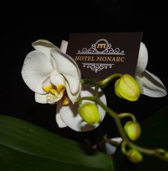 Hotel Monarc